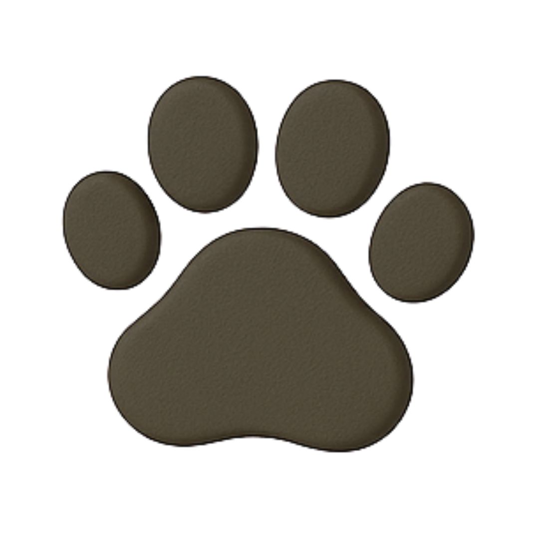 Prodotti per animali domestici